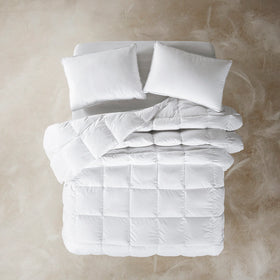 Relleno De Duvet De Plumas