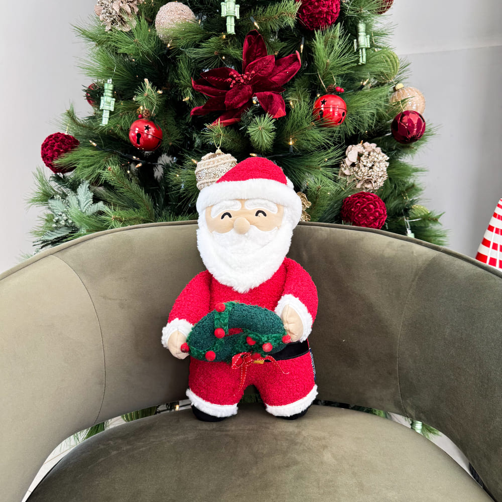Cojín Santa