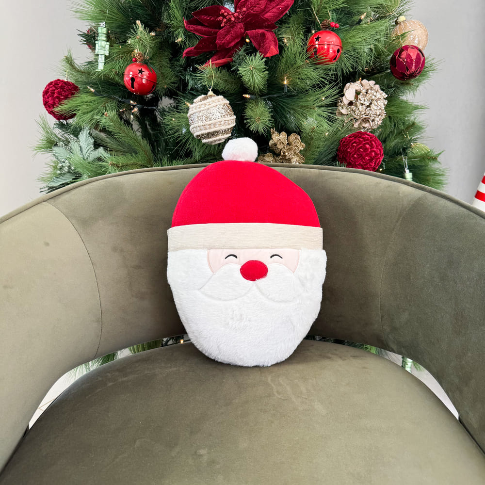 Cojín Santa